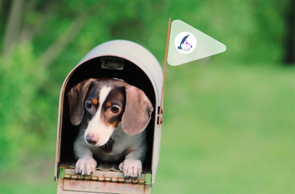 Slide Six - Mailbox